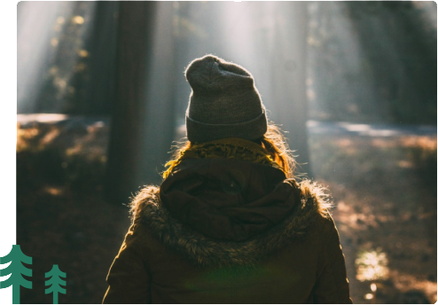 Nature values preview