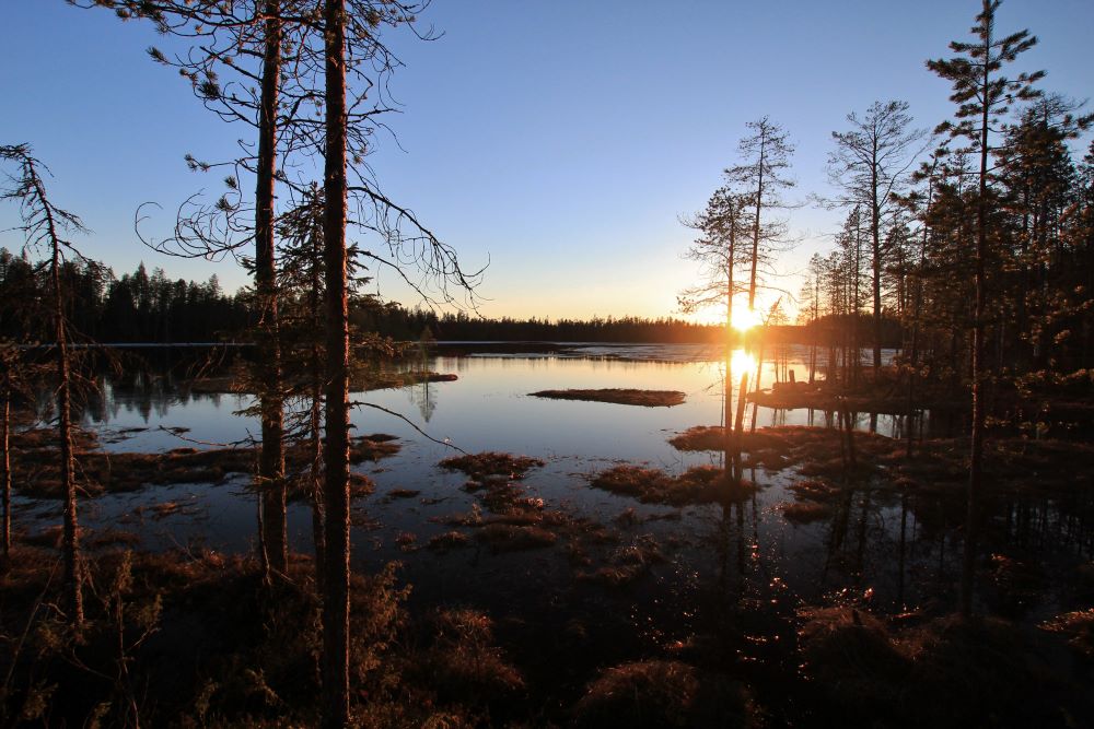 Tule mukaan edistämään kestävää kehitystä ja luonnon monimuotoisuuden suojelua! – osallistu MTK:n kyselytutkimukseen